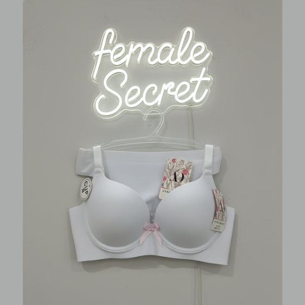 Pack of (CK) Imported Padded Seamless Push-Up Bra and Penty Set