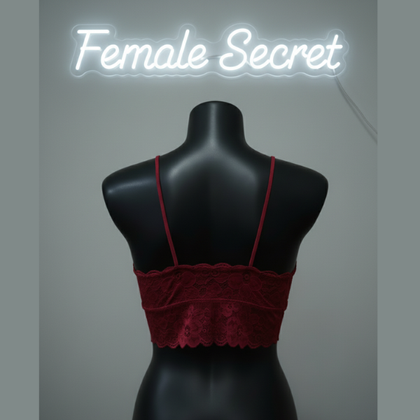 70% OFF | PACK OF 3 SPORTS NET BRA | FREE HOME DELIVERY