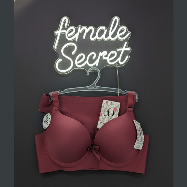 Pack of (CK) Imported Padded Seamless Push-Up Bra and Penty Set