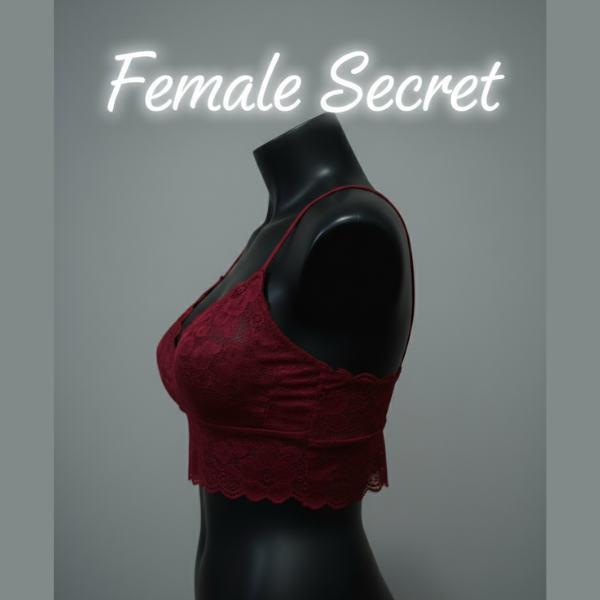 70% OFF | PACK OF 1 SPORTS NET BRA | FREE HOME DELIVERY