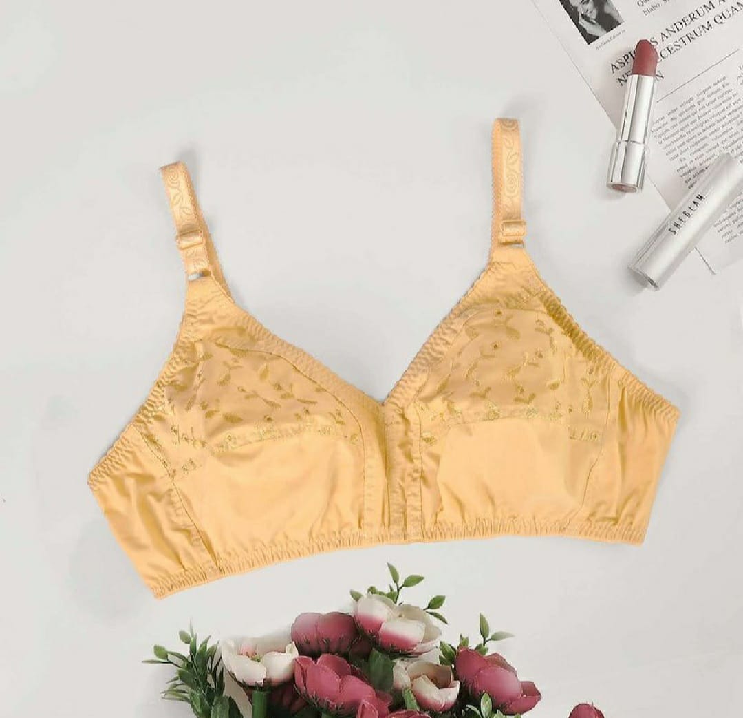 50% OFF | PACK OF 2 IMPORTED EBRIODERY STRETCHABLE COTTON BRA FOR SUMMER