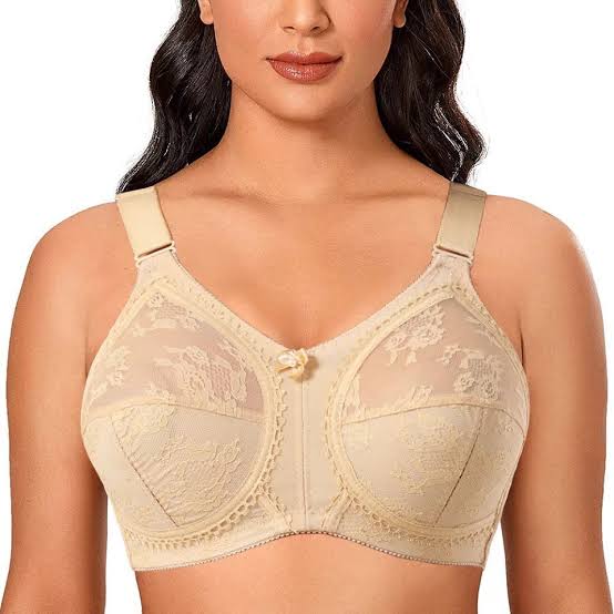 Pack of 2 | Imported Triumph Doreen Classic Comfort Bra
