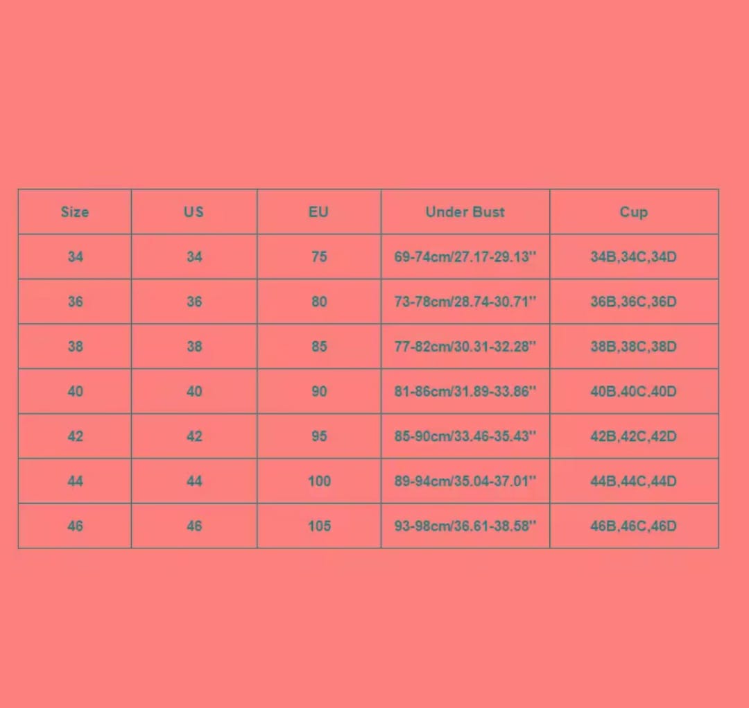 Pack of 2 | Imported Triumph Doreen Classic Comfort Bra